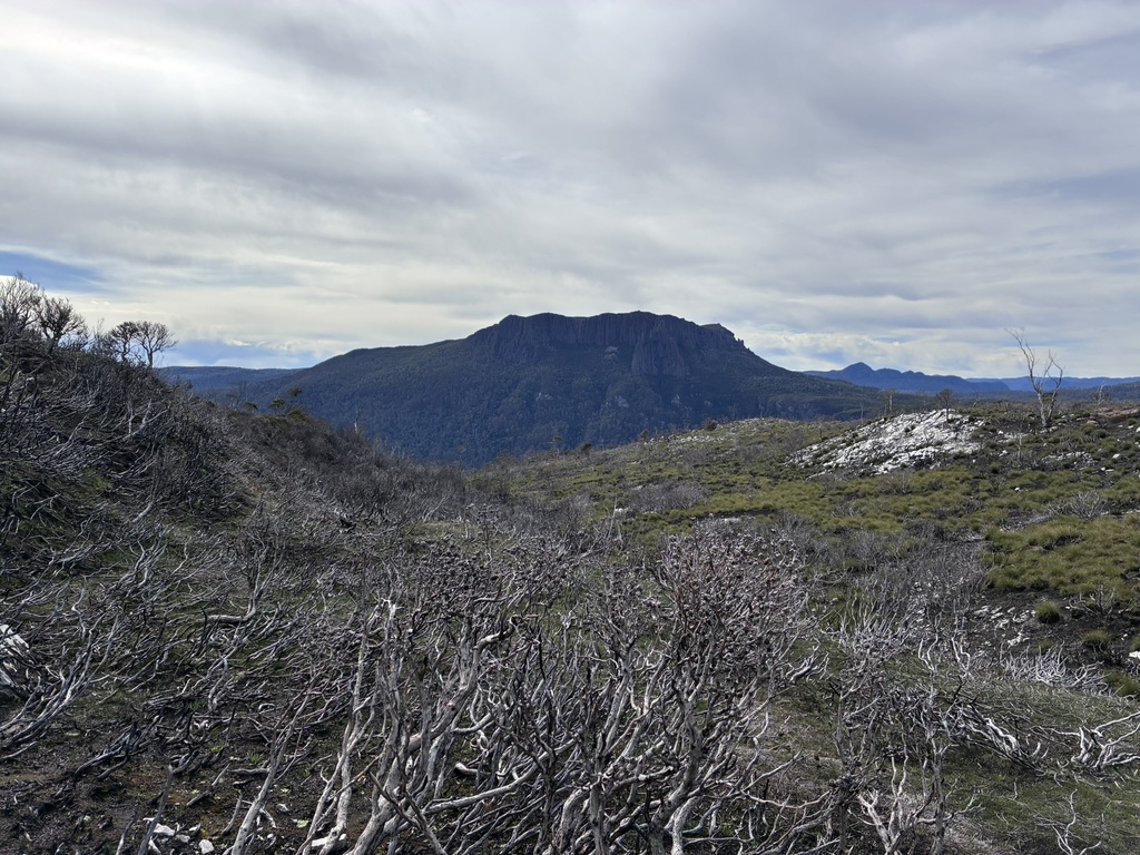 Our first view of Mount Oakleigh.