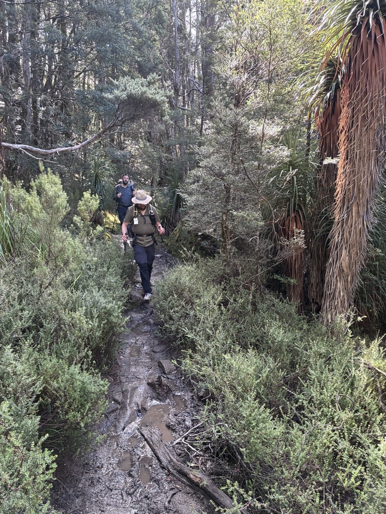 A delightful forest path, some mud.