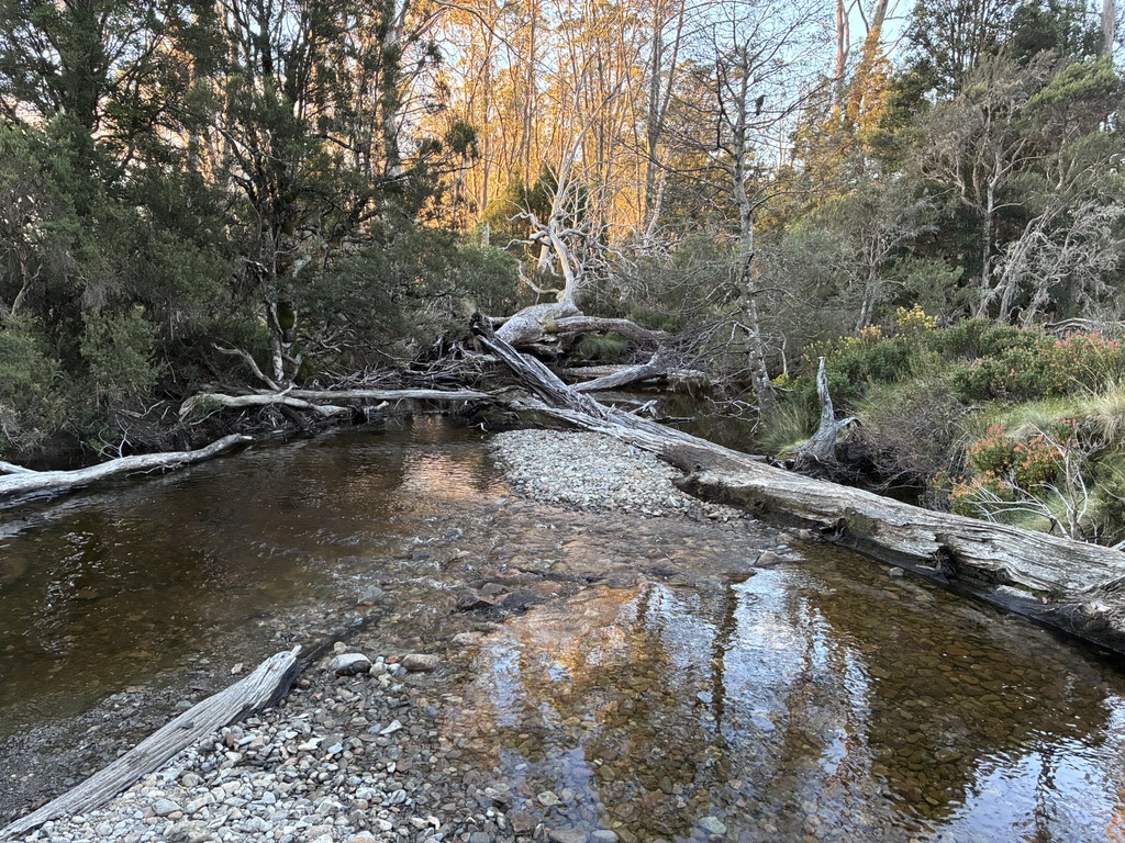 The creek near Pelion Hut.