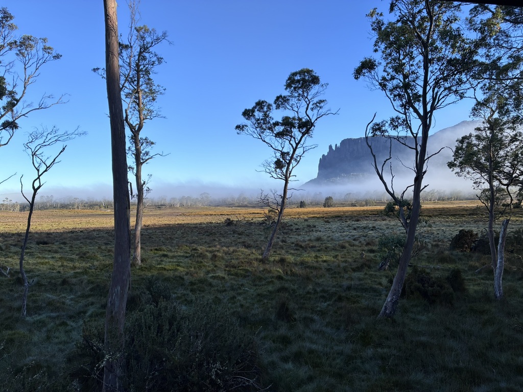 Good morning Mount Oakleigh!