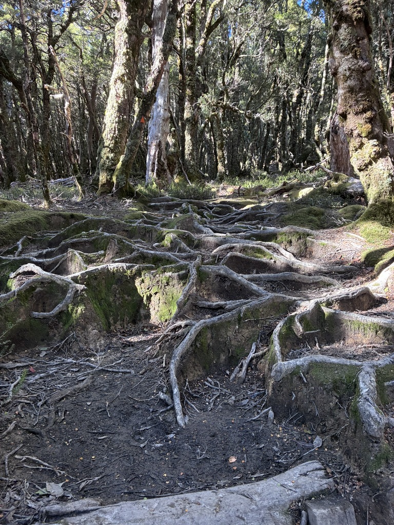 An arduous climb up to Pelion Gap.