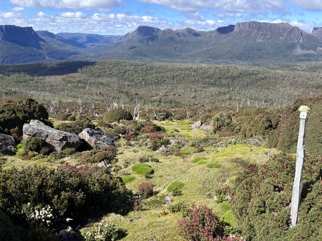 The Japanese Garden on the approach to Mount Ossa.