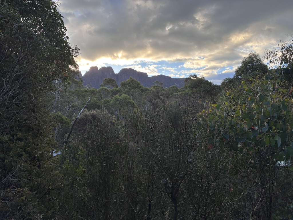 The Ducane Range from the track near Bert Nicholls Hut.