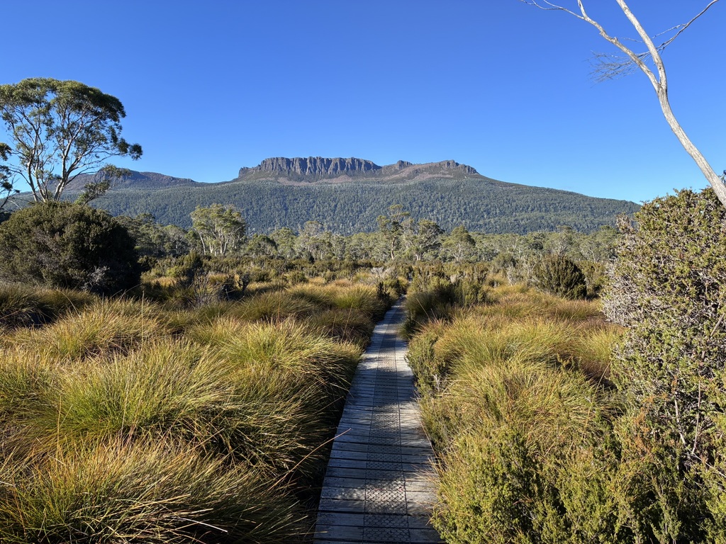 The final stretch of track towards Narcissus Hut.